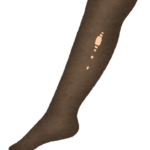 「美脚すぎませんか！」本田翼、伝線しにくい“愛用ストッキング”とは？【画像】